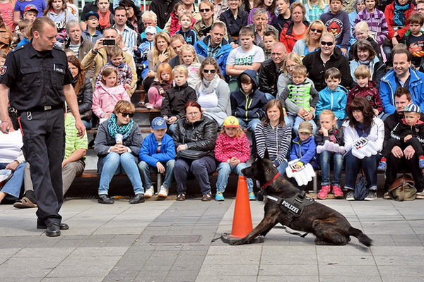 Polizeishow   036.jpg